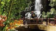 Wynn Las Vegas Hotel Waterfall Wynn Las Vegas Hotel Waterfall